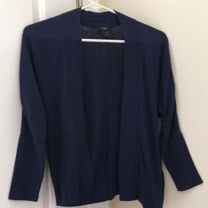 Ann Taylor Petite Blue Sweater